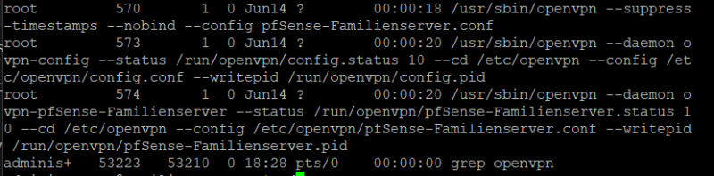 OpenVPN Prozesse