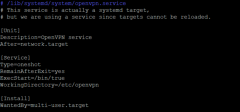 systemctl cat openvpn.service